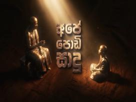 Ape Podi Sadu 25-10-2026