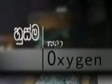 Husma Saha Oxygen (9) - 02-08-2014